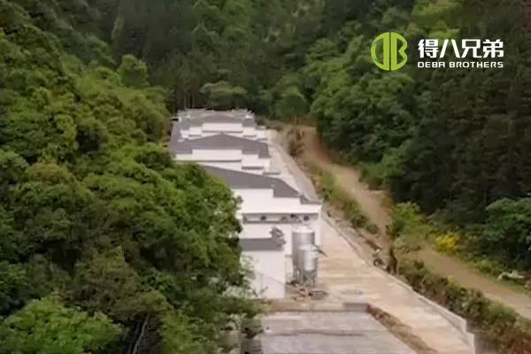 ãVæskefodringssystemãAnhui Huangshan 400 søer farm