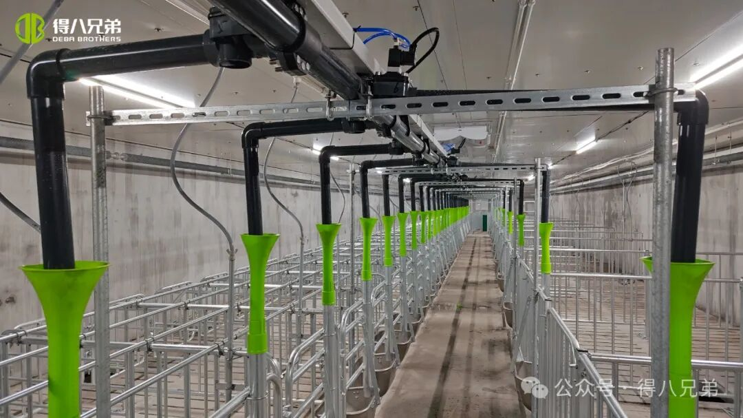 Deba Brother Licha Black Pig Avl og dyrkning demonstrationsbase - Integreret drift af 2.000 søer, 50.000 årlige slagtning, 67.000 kvadratmeter