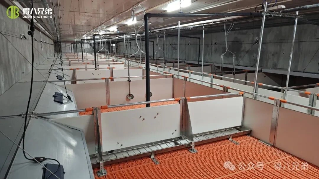 Forebyggelse og håndtering af varmestress i svinefarme i varmt vejr